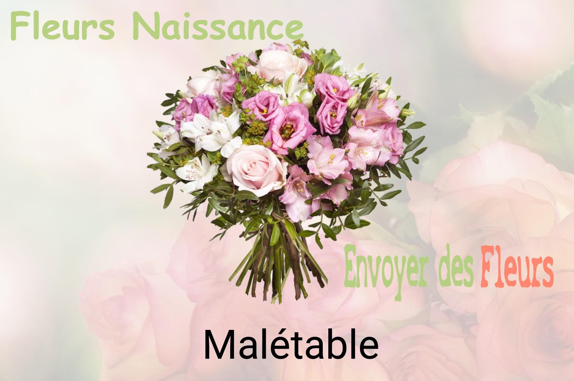 Bouquet de fleurs de naissance livré à Malétable